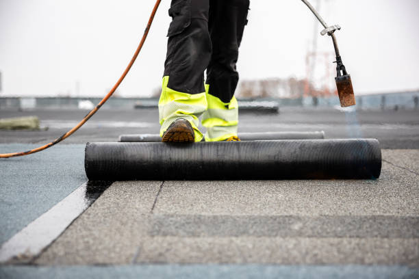 Best Steel Roofing  in Woodlawn Beach, FL